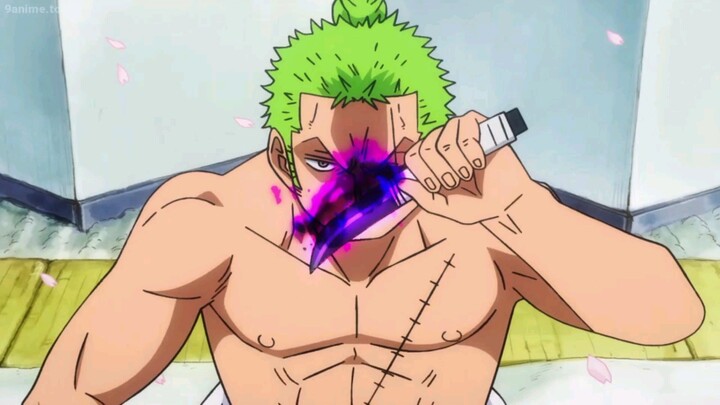 ZOROJURO WANO ARC HIGHLIGHTS