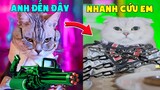 Thú Cưng Vlog | Mèo Và Mun Siêu Quậy #12 | Mèo thông minh vui nhộn | Smart cat funny pets