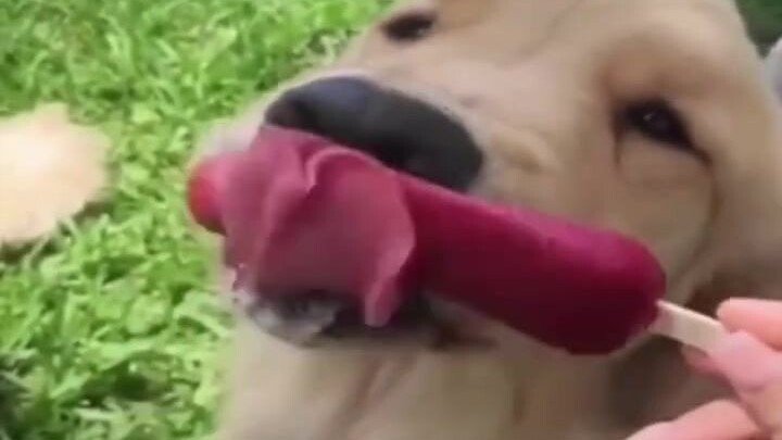 รวมออร์เดอร์ไม่ทำตามกฎ