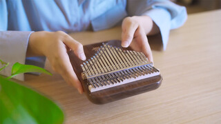 (Mbira 21 เสียง) เพลง กิ่งเหมย เกล็ดหิมะปลิดปลิว ลมเหนือหวีดหวิว