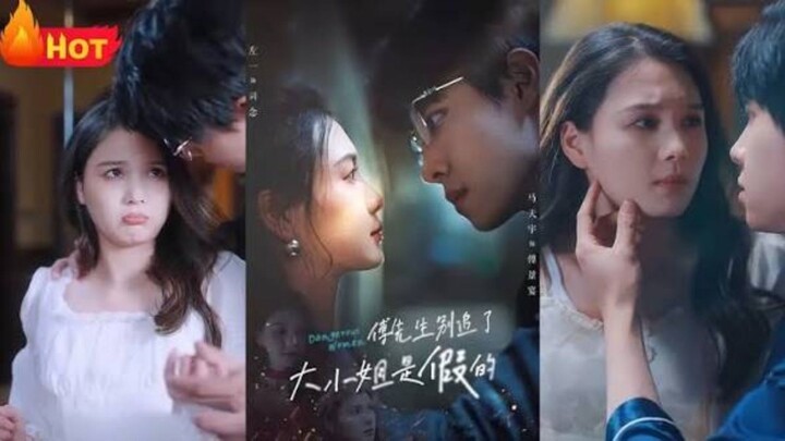 Phó Tổng Dừng Lại Đi, Đại Tiểu Thư Là Giả | Mã Tiểu Vũ & Tả Nhất