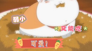 这是一只喝醉酒回来还不忘给你带土特产的猫！