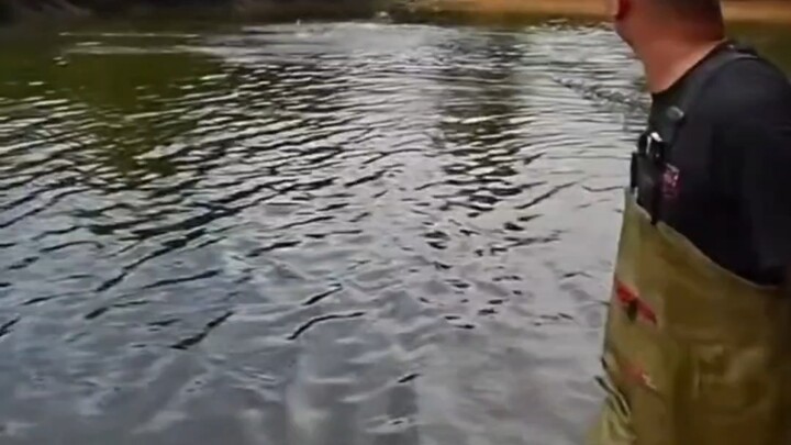 Little Fei pulls a net from the fishpond where Big Sister hasn’t fished all year—what an honest pers