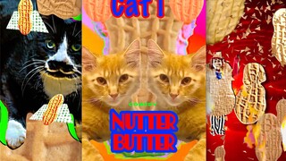 怎么有这么迷幻的官方账号啊⁉️（Nutter Butter）