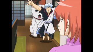 "Gintama" Ginsan và Sadharu hoán đổi thân xác