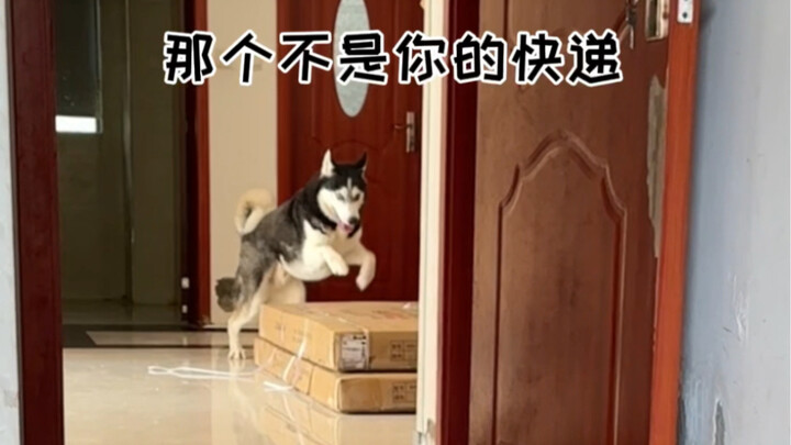 Keru Keduck's Delivery