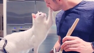 “This is probably why people like to keep cats.”