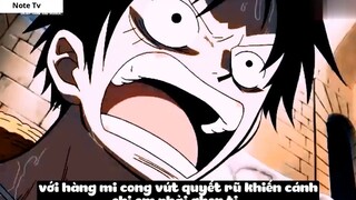 Top 8 Trái Ác Quỷ Đã _Thức Tỉnh_ Trong One Piece #20- 3