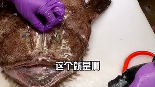 Big fish eat small fish, this fish is so scary!