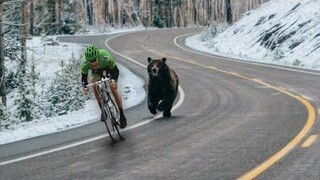 รวมโมเมนต์ฮาแห่งปี 🔥🐷 PART 6