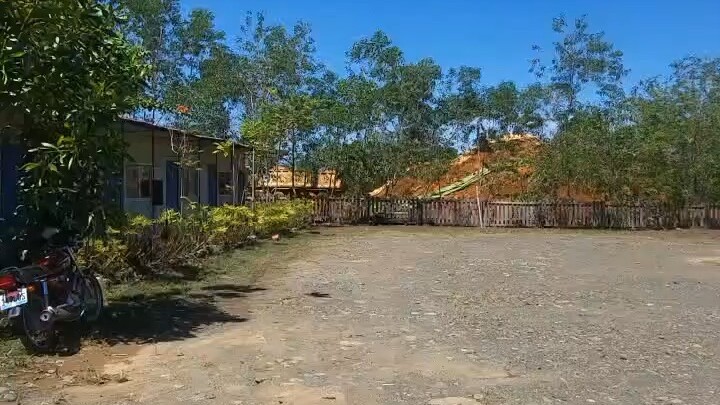 努力的活！生活不迷茫！因为总有惊喜和希望！早安🌞