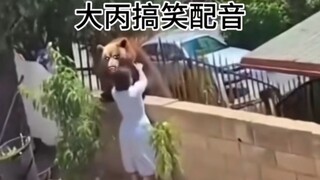 Bear: Not sister, I am a bear