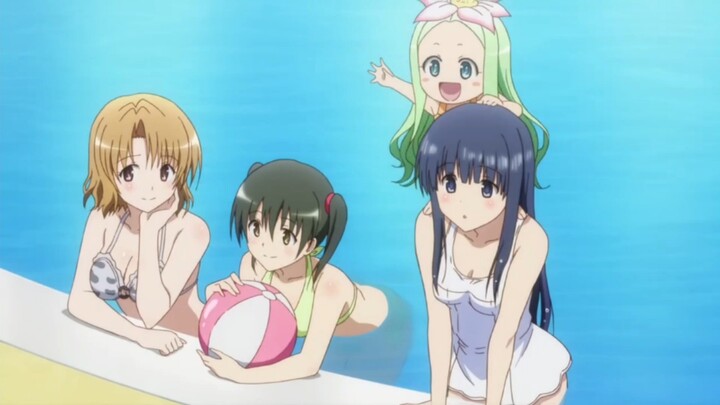 "Those who have watched more than three of these anime are all ruthless brothers"