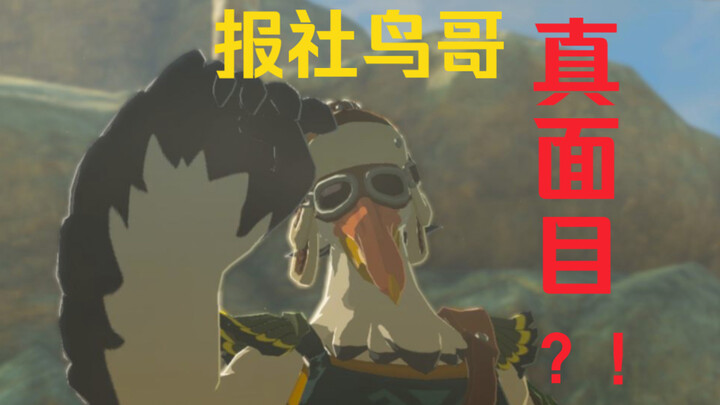 【น้ำตาแห่งอาณาจักร】ที่แท้ก็คือความลับใต้แว่นของพี่นกแห่งสำนักข่าว!
