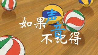 【排球少年丨伪失败者群像（下架重传】如果声音不记得——昨天的失败者们，今天的你们又是什么人？