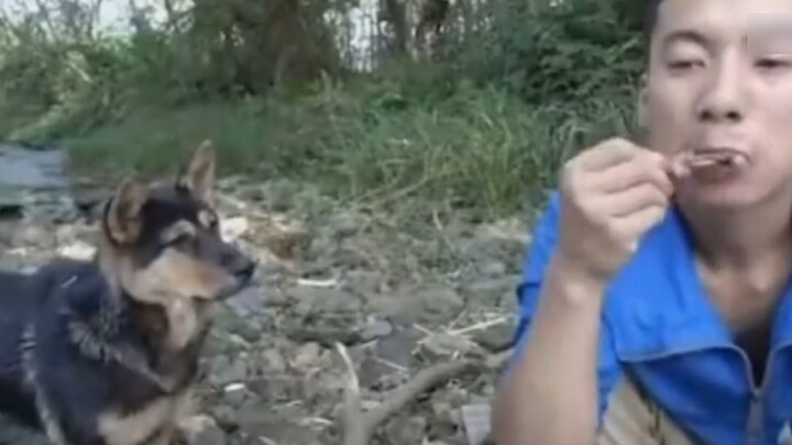 Why can’t some videos be played backwards?