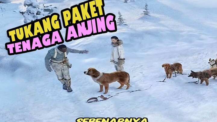 PENGANTAR PAKET TENAGA ANJING