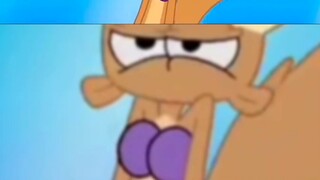 ⚡️ The confusing behavior of marine life⚡️