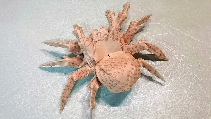 【Origami】Con nhện