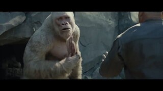 Watch Full RAMPAGE Movies For Free: Link In Description