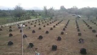 Jrm Farm 2