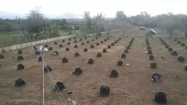 Jrm Farm 2