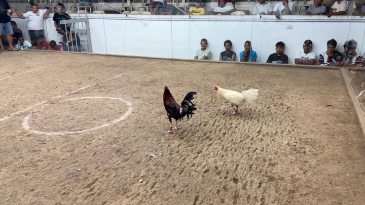 2 hits ulutan @Solana Sports and Amusement Center- 2nd fight