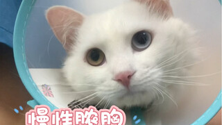 The little guy has been through so much suffering, but thankfully she found an owner who truly loves