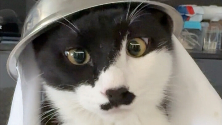 Điên điên khùng khùng đón năm mới đây!