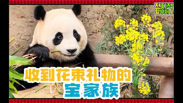 ซับจีน丨มุมมองคุณปู่ผู้รู้ทุกอย่าง丨230324丨ครอบครัวเป่าได้รับของขวัญช่อดอกไม้แล้วจะมีปฏิกิริยายังไงนะ?