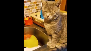 น่ารักไม่ไหว