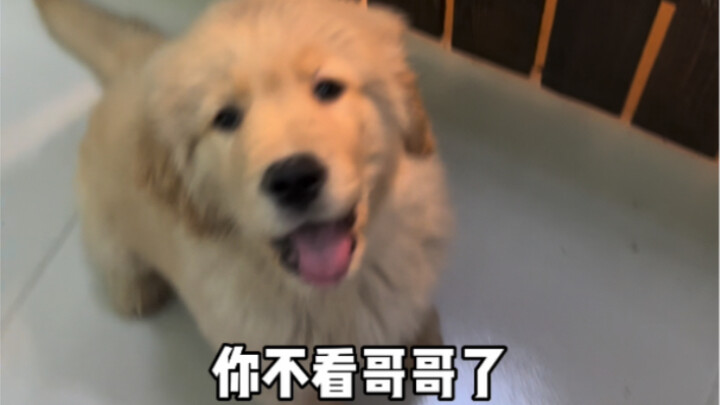 ถูกคนเหยียบย่ำแล้ว...