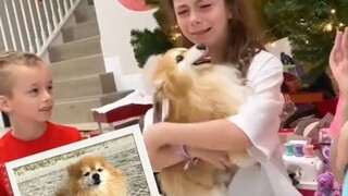 When pet owners receive dolls identical to their deceased pets