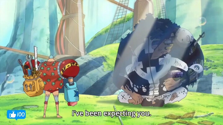 Kuma Protect the Thousand Sunny!
