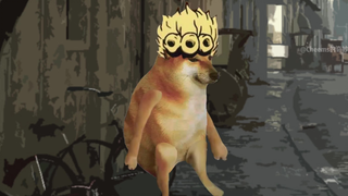 Chú chó mắc hội chứng xe ba bánh