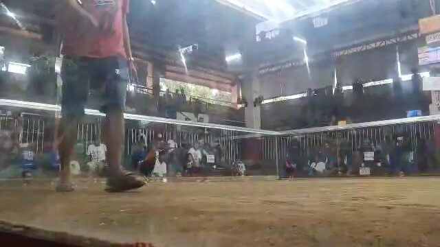 Ravena gamefarm kawing 5k