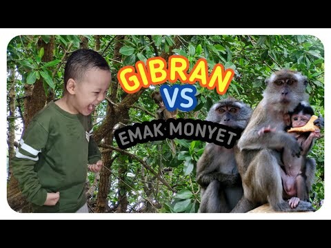 TAMAN WISATA MANGROVE BONTANG