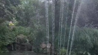 Hét Tuyền: Chúng ta yếu đuối, ngươi có đồ ăn không?