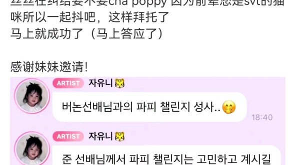 yoon:前辈你是seventeen里的猫猫呀！