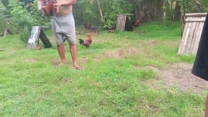 spur muna mga stag natin,, unat unat,,