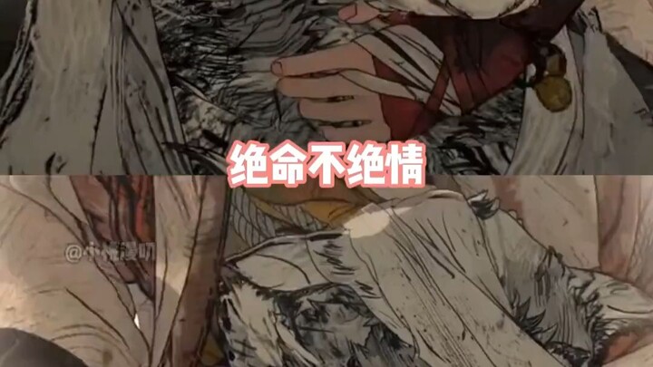 “Top-Notch Energetic Cat Anime”