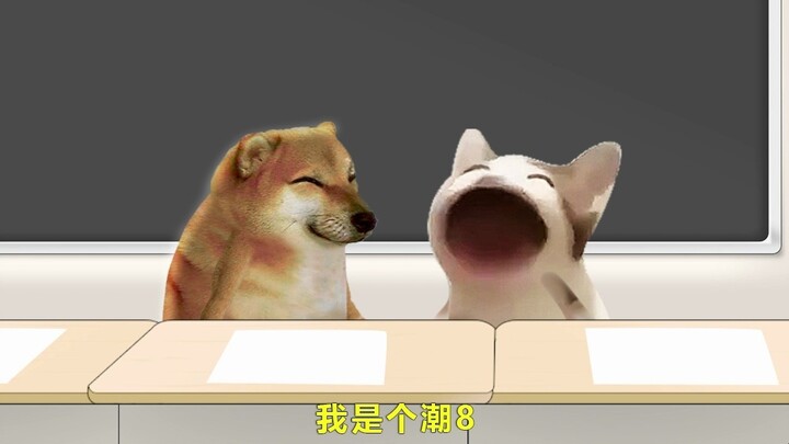 Teman Sekamar dari Shandong dan Teman Sekamar dari Timur Laut