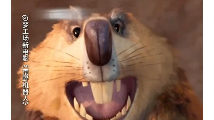 لا يوجد طريق واحد فقط يؤدي إلى النتيجة، فأنا أسير على الطريق الذي أحبه.