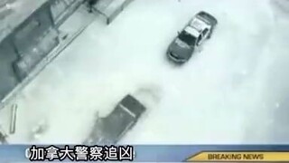 日常乳加