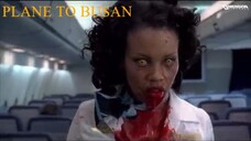 PLANE TO BUSAN | Hollywood Hindi Dubbed Movie | 飞往釜山的飞机