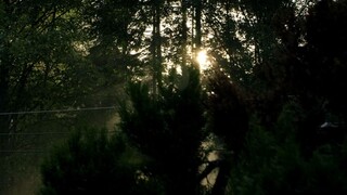 MidNight.Sun.
