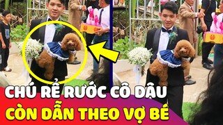Lần đầu tiên xuất hiện 'CHÚ RỂ' dẫn theo 'VỢ BÉ ĐI RƯỚC CÔ DÂU' mà không ai dám ghen 😍 Gâu Đần
