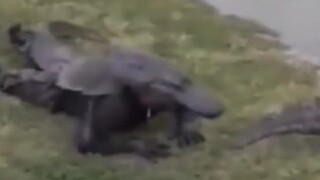 : Ketakutan tidak mengenal ras