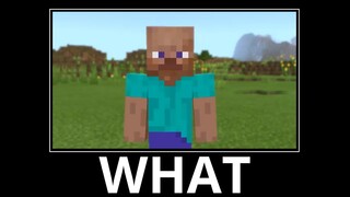 WAIT WHAT (Minecraft) #12