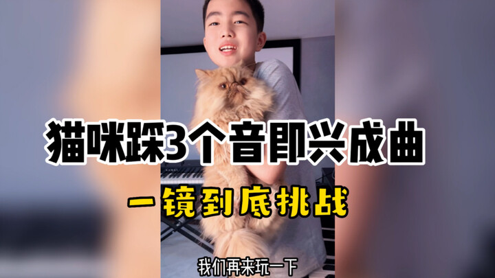 用猫咪踩的3个音，即兴创作一首曲子《小加菲梦游曲》